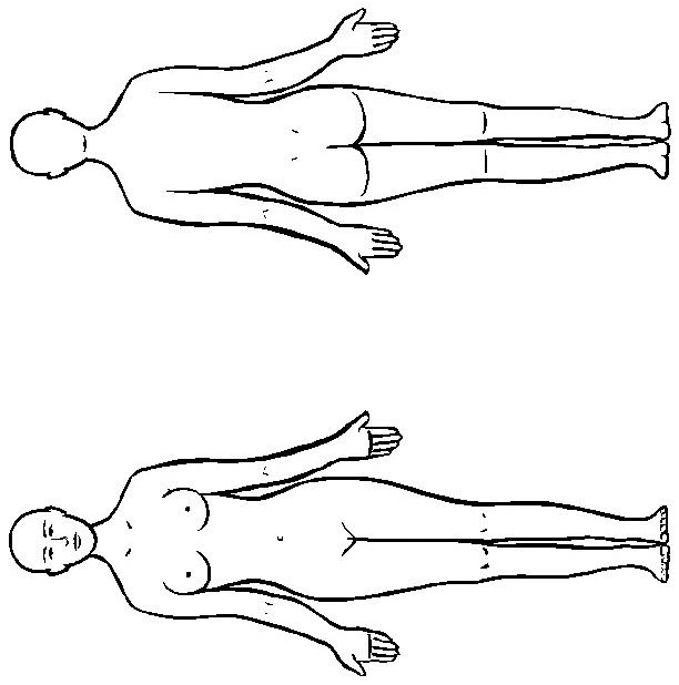 Plansa de colorat cu Biologie 91 68